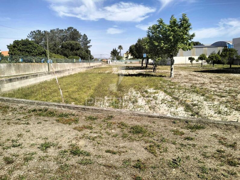 Quinta/Herdade com casa Setúbal - sótão, árvores de fruto, terraço, poço, equipada, luz, piscina, água, furo