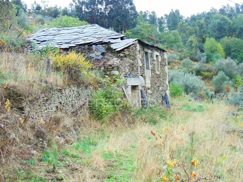 Land Urban to recover Torgueda Vila Real - excellent access, olive trees, electricity