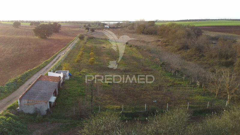 Terreno Agrícola com 42500m2 Beja - água, árvores de fruto