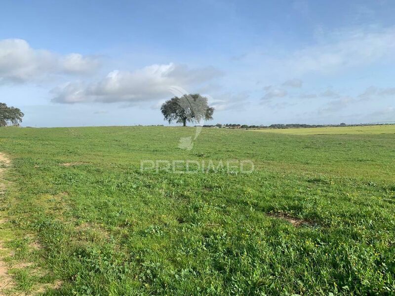 Land with 270250sqm Canhestros Ferreira do Alentejo - great location