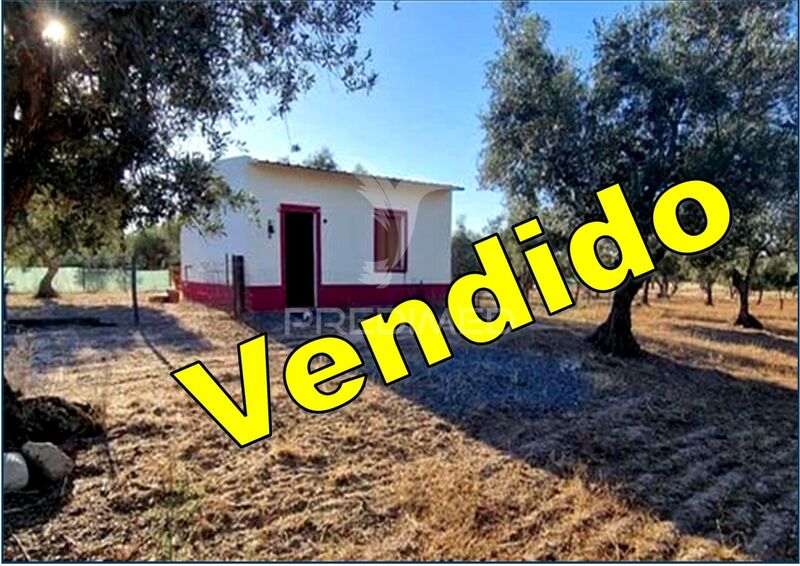Farm 0 bedrooms well located Torrão Alcácer do Sal - olive trees, water, water hole, tank, fruit trees