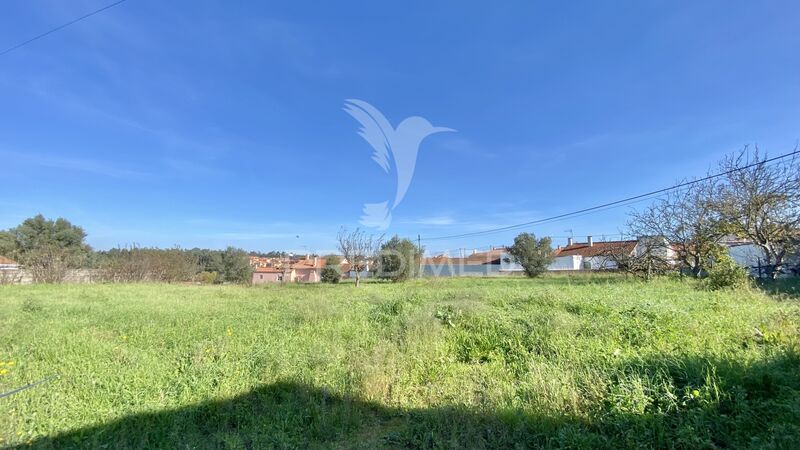 Land with 7792sqm Asseiceira Rio Maior