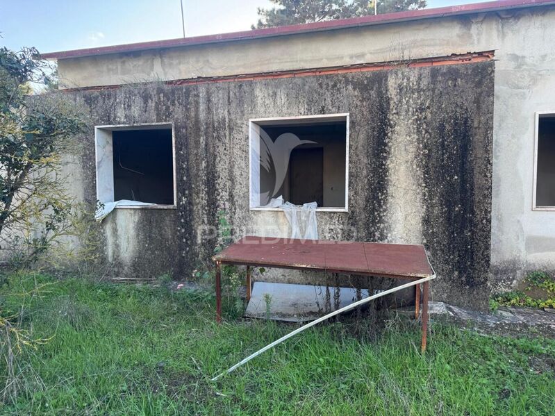 Terreno Urbano com 2000m2 Castelo (Sesimbra) - água, furo, garagem