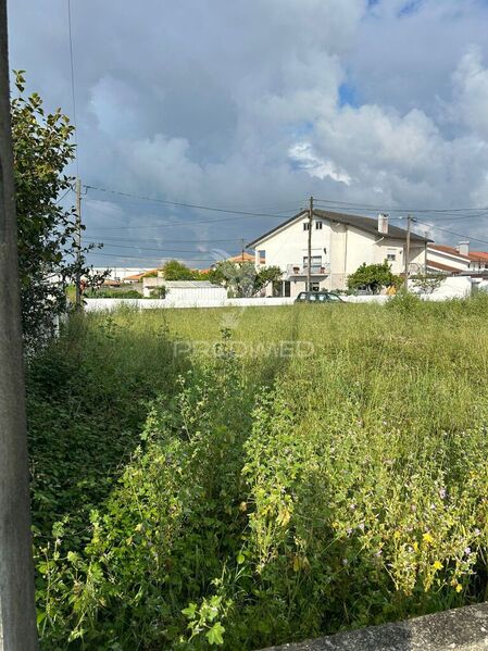 Terreno Urbano para construção São Bernardo Aveiro - bons acessos
