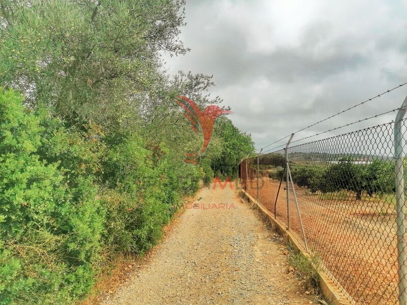 Terreno Agrícola com 2520m2 Olhão para vender - boa localização, bons acessos
