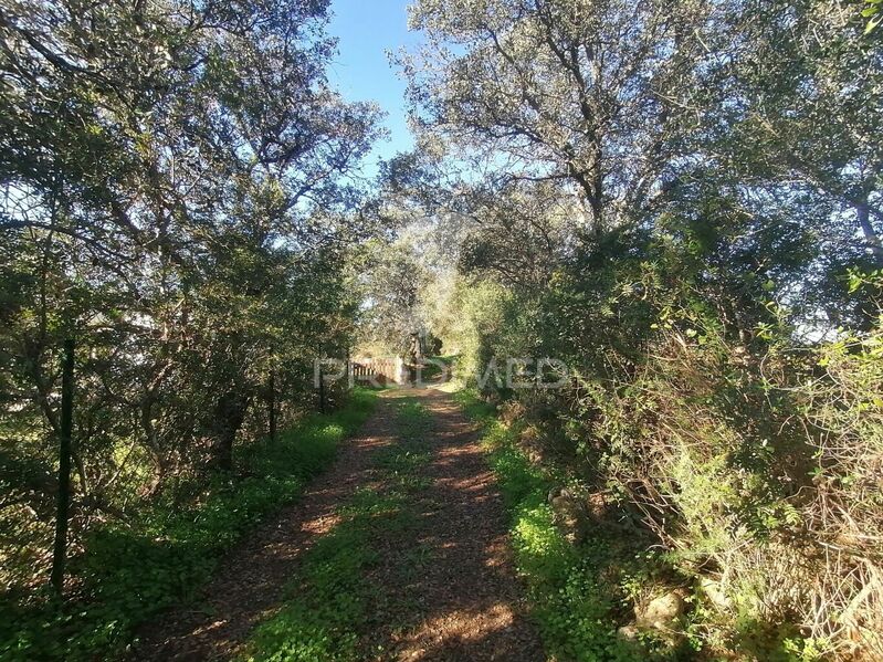 Land Agricultural with 2520sqm Olhão - nice location, easy access