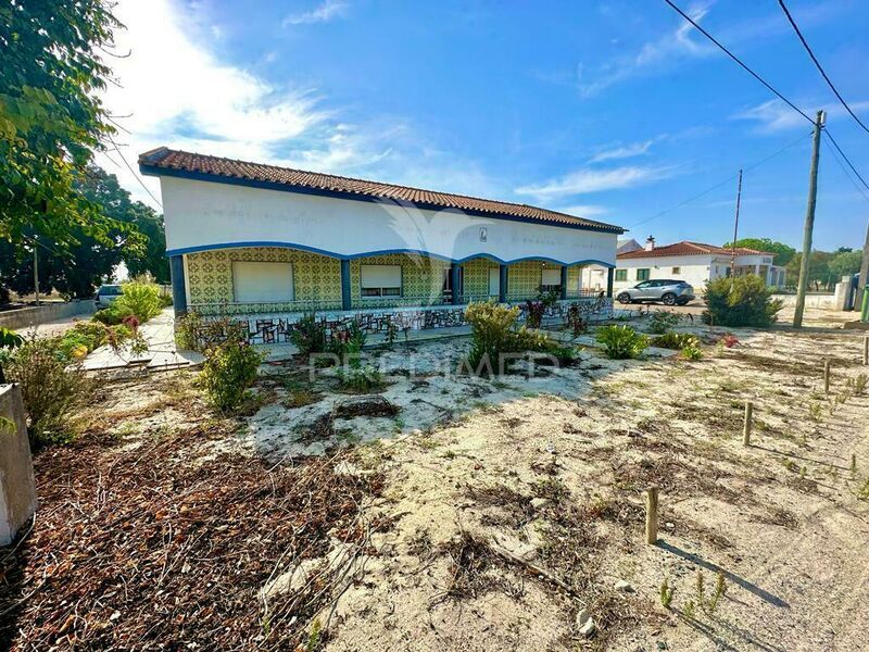 House well located 5 bedrooms Torrão Alcácer do Sal - attic, garden, barbecue, equipped kitchen