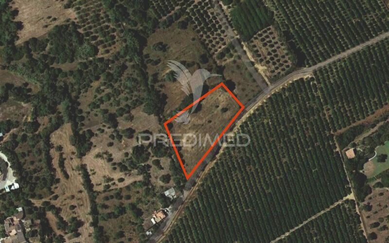 Terreno com 6320m2 Olhão