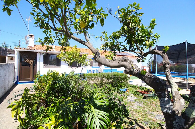 House 3 bedrooms Single storey Cercal Santiago do Cacém - store room, garage