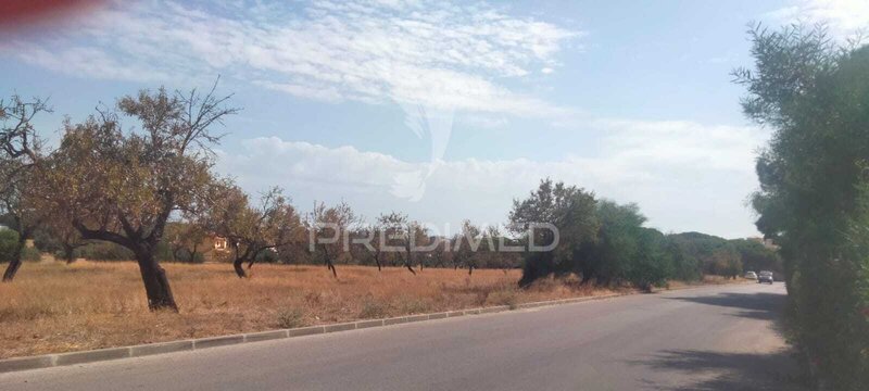 Land Rustic with 13000sqm Albufeira - electricity, sea view
