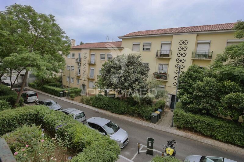 Apartment T3 Alvalade Lisboa - ,