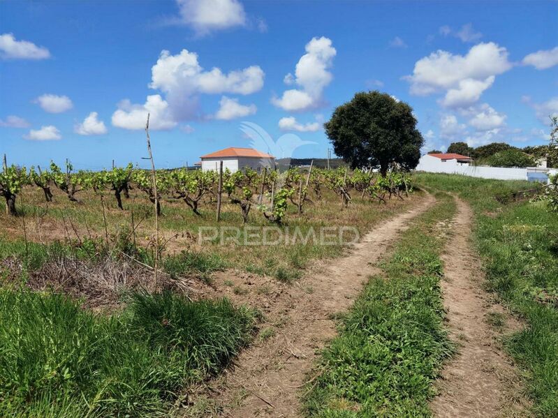 Land with 3960sqm Moita dos Ferreiros Lourinhã