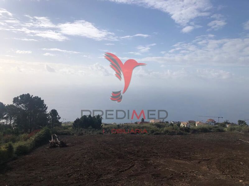 Terreno com 5500m2 Prazeres Calheta (Madeira) para venda - electricidade, vista mar, água