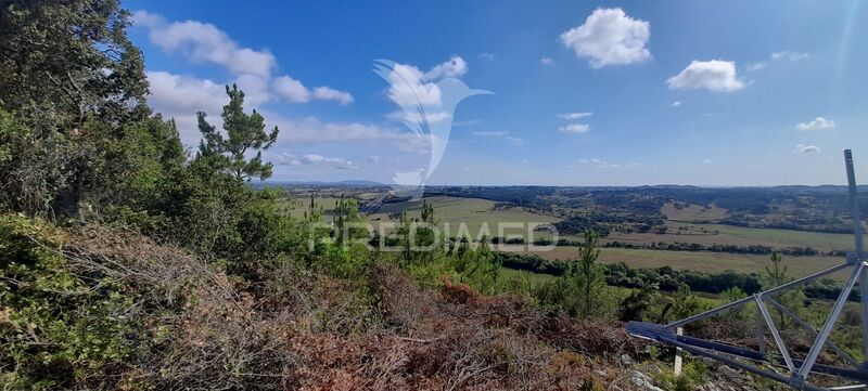 Terreno com 41320m2 Almoster Santarém