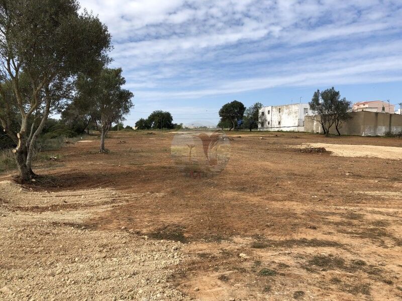 Plot of land with 6467sqm Almancil Loulé - electricity, water