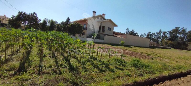 Terreno plano Aguada de Baixo Águeda