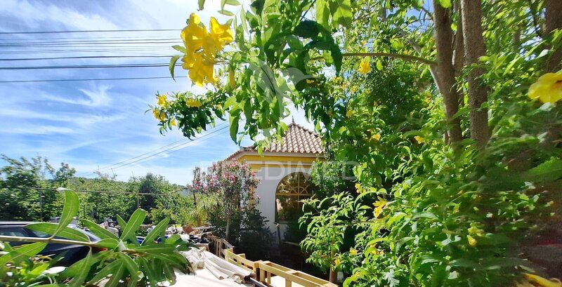 Land Urban for construction São Brás de Alportel - easy access, construction viability