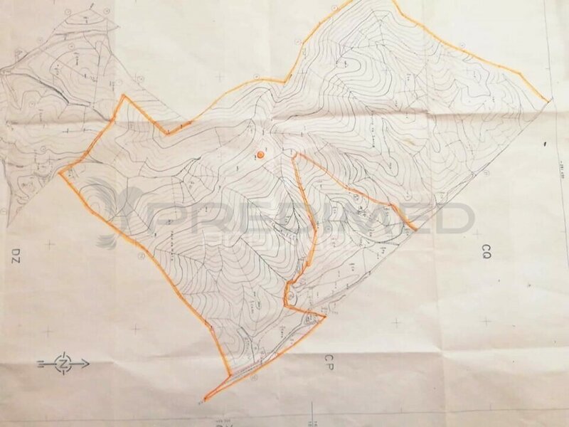 Land Urban/agricultural with 453680sqm São Bartolomeu de Messines Silves - cork oaks