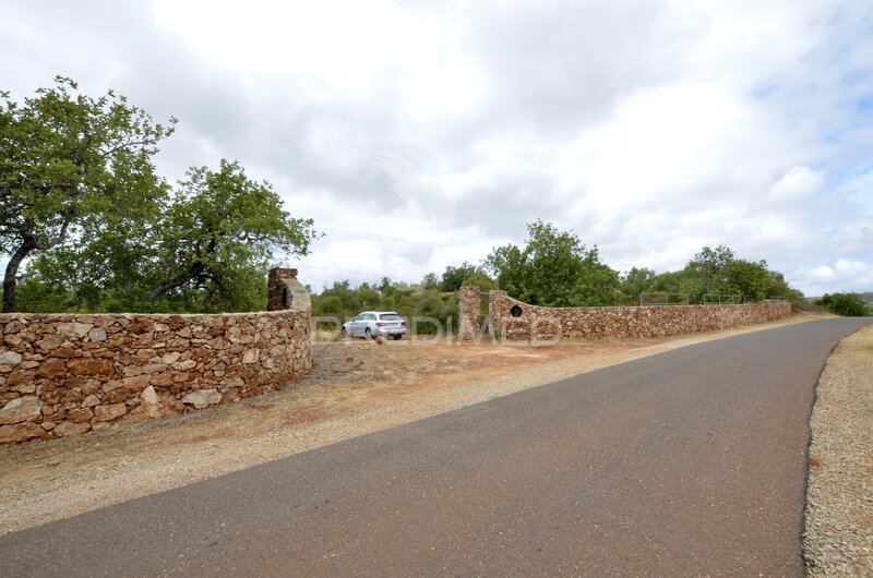 Land Agricultural with 9800sqm Alte Loulé - olive trees