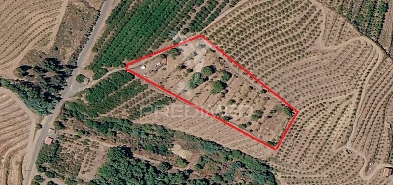 Terreno em Alcongosta