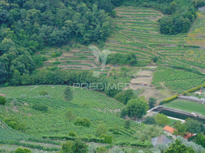 Farm near the beach V0 Santa Marta de Penaguião - arable crop, excellent access, irrigated land