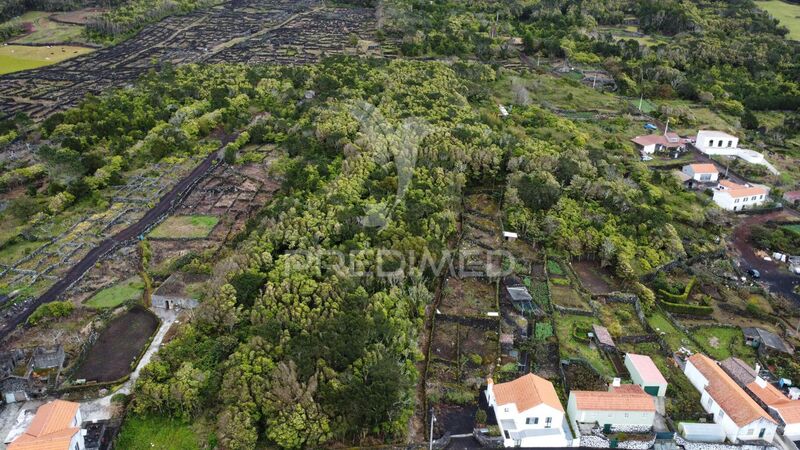 Land with 12584sqm Candelária Madalena