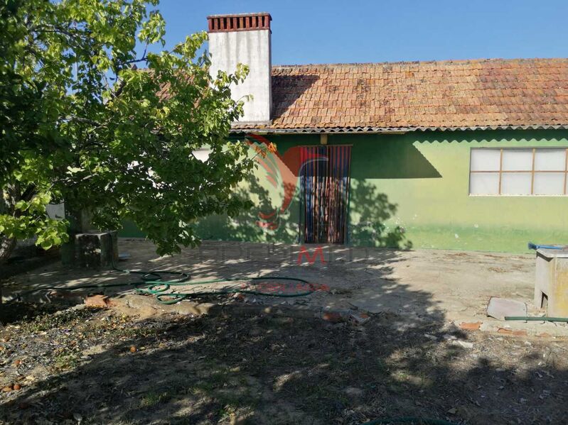 смешанная собственность V1 для восстановления Grândola - колодец, вода, фруктовые деревья, электричество