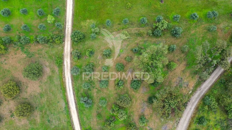Land Rustic with 50000sqm Santo António (Capelins) Alandroal - olive trees, water, cork oaks, easy access