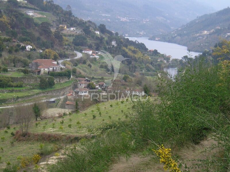 Terreno com 18729m2 Marco de Canaveses - bons acessos, árvores de fruto, sobreiros, laranjeiras