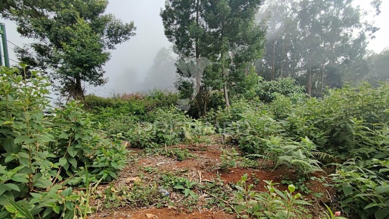 Terreno com 1230m2 Santana