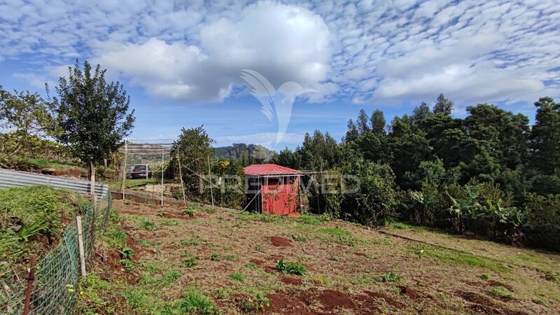 Terreno com 1240m2 Santo António da Serra Machico - água, luz, tanque, árvores de fruto