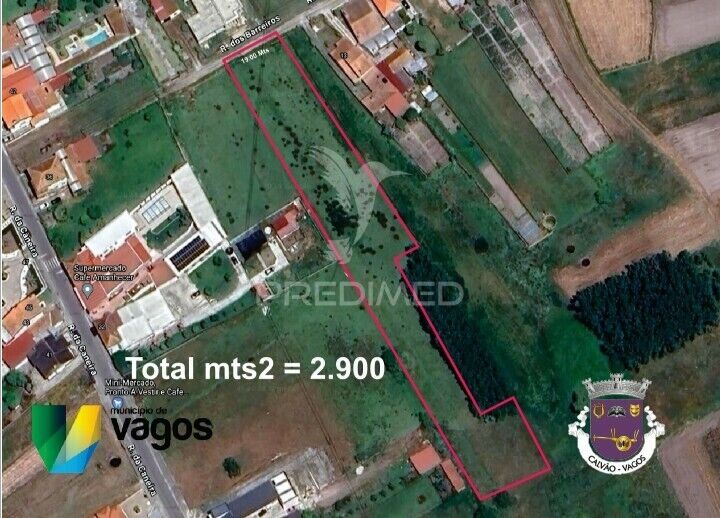 Terreno novo com 2900m2 Calvão Vagos