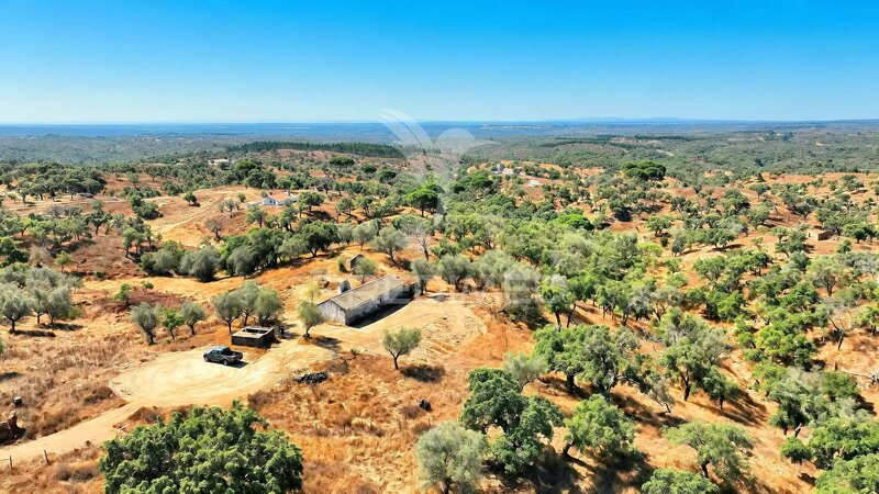 Terreno Agrícola with 133sqm São Francisco da Serra Santiago do Cacém - agua, buenos accesos, furo