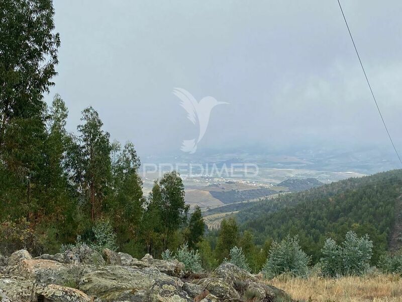 Land with 30000sqm Vila Flor - easy access