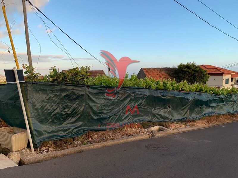 Terreno Rústico plano Canhas Ponta do Sol para vender