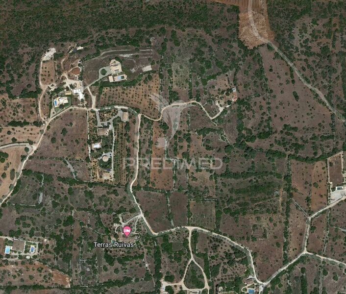 Land Rustic with 22760sqm Silves - olive trees, fruit trees