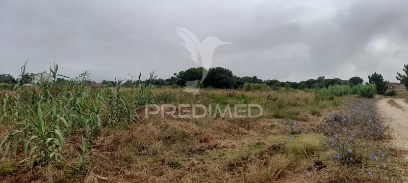 Land with 38324sqm Aveiras de Cima Azambuja