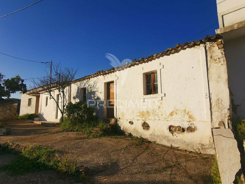 Farm V3 with ruins Salir Loulé - water, electricity, olive trees, cork oaks, garden