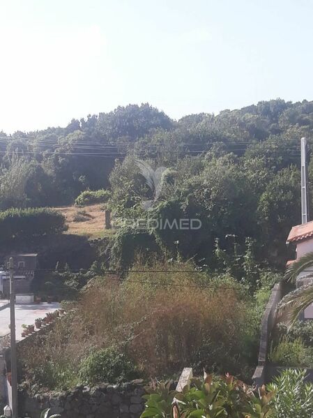 Land Rustic with 968sqm Luz Santa Cruz da Graciosa - electricity, fruit trees
