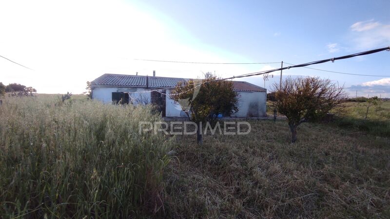 Land Agricultural with 725sqm Beja - well, water, fruit trees, olive trees