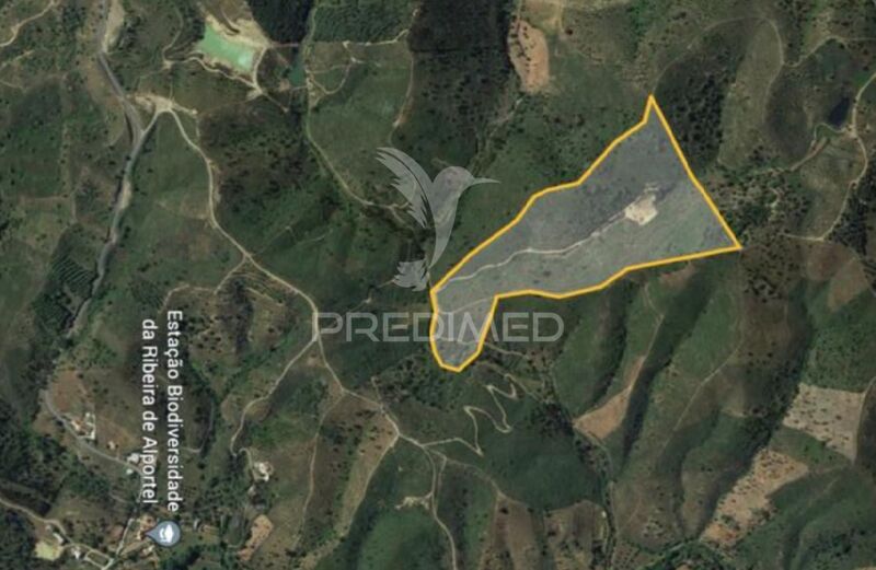 Land with 9670sqm São Brás de Alportel