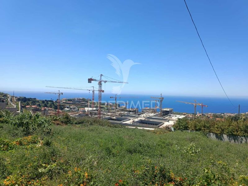 Terreno novo com 2045m2 São Martinho Funchal - água, luz