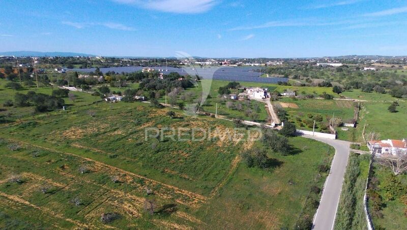 Land nieuw with 15000sqm Guia Albufeira - water, water hole, fruit trees