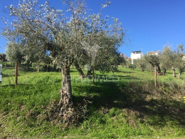 Plot nuevo with 2363sqm Montargil Ponte de Sor