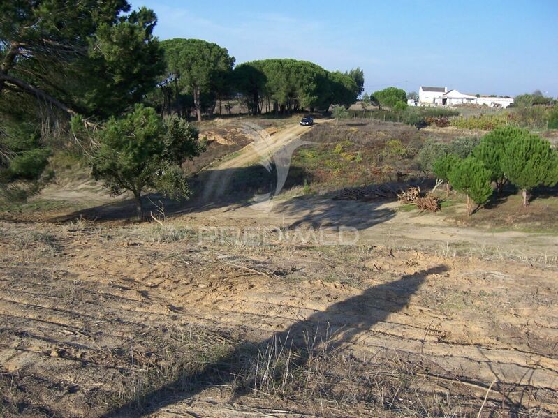 Terreno com 17000m2 Aveiras de Cima Azambuja - água