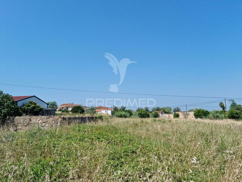 Land new with 8700sqm Coimbra