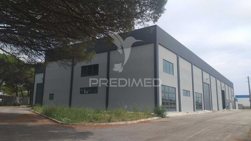 Warehouse with 2000sqm Terrugem Sintra - ,