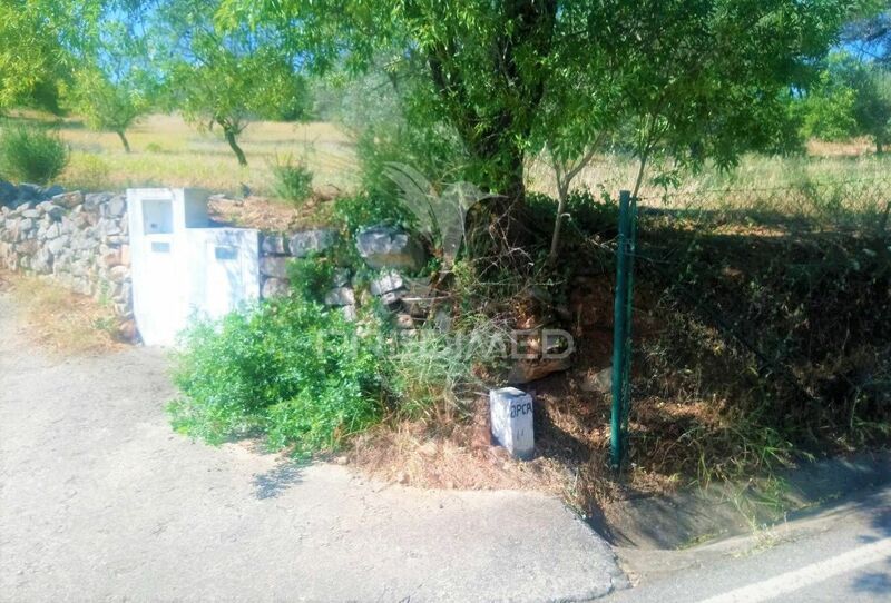 Terreno Rústico com 6540m2 Santo Estêvão Tavira - vista serra, árvores de fruto, luz, água, bom acesso