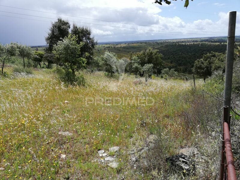 Land with 5750sqm Montalvão Nisa