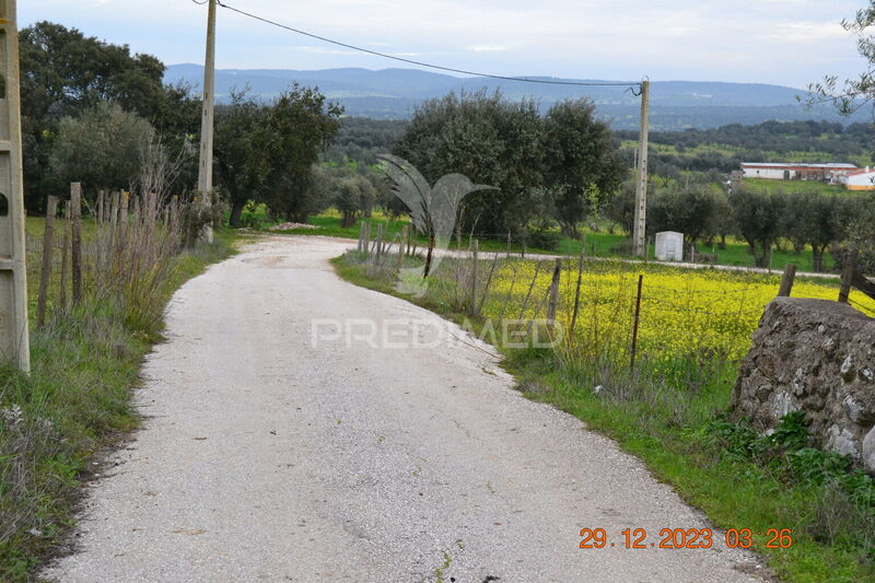 Land with 8250sqm Ciladas Vila Viçosa